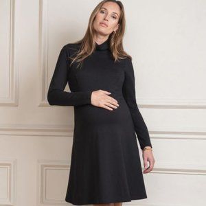 Seraphine maternity dress in size small